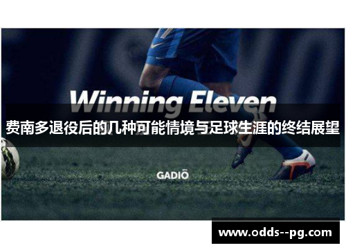 费南多退役后的几种可能情境与足球生涯的终结展望