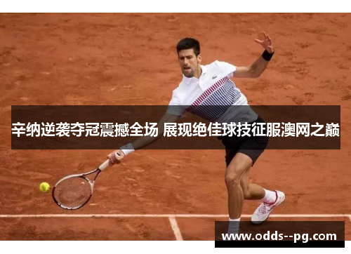 辛纳逆袭夺冠震撼全场 展现绝佳球技征服澳网之巅