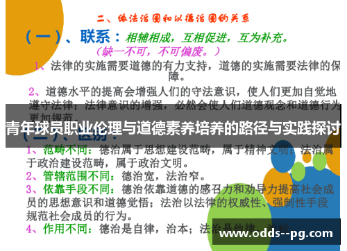 青年球员职业伦理与道德素养培养的路径与实践探讨