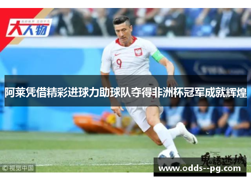 阿莱凭借精彩进球力助球队夺得非洲杯冠军成就辉煌