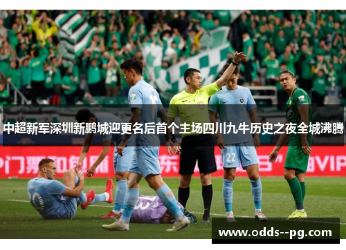 中超新军深圳新鹏城迎更名后首个主场四川九牛历史之夜全城沸腾 中超新军深圳新鹏城迎更名后首个主场四川九牛历史之夜全城沸腾